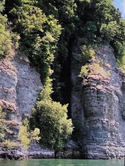 The image shows a rocky cliff face covered in lush green trees. The cliff is made up of horizontal layers of sedimentary rock, appearing grey and textured. Some trees are growing directly out of the rock face, while others form a dense canopy at the top of the cliff. The bottom of the cliff meets a body of calm, green water. The scene appears to be a natural landscape, possibly a section of a lake or riverbank. There are no people or discernible man-made structures visible in the image. The location is not specified as being in Dubno, Ukraine.