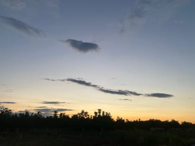 The image depicts a twilight sky over a treeline. The sky transitions from a pale blue at the top to a warm orange hue near the horizon. Scattered clouds are visible, some dark and wispy, others more diffuse. The lower portion of the image is dominated by the dark silhouettes of a dense treeline, possibly indicating a forest or a row of trees. In the foreground, the ground is dark and appears to be some sort of field or open area with a few faint vertical posts or stakes visible. The overall atmosphere is serene and suggests the end of the day. This scene is located in the city of Miriantsi, Bulgaria.