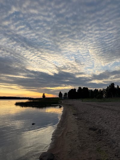 The image depicts a serene sunset scene on the shore of the Gulf of Finland in Glebychevo, Russia. The sky is filled with a captivating array of altocumulus clouds, characterized by their wavy, rippled patterns, with streaks of yellow and orange from the setting sun visible near the horizon. A calm body of water, likely the gulf, occupies the left side of the frame, reflecting the muted colors of the sky. Along the water's edge, a sandy beach stretches into the distance, with sparse vegetation and a line of dark trees silhouetted against the sky in the background. Several rocks are present on the beach and in the shallow water. The overall atmosphere is tranquil and natural, with no visible human presence or activity.