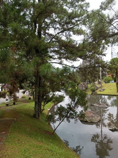 Lush greenery frames a still body of water reflecting sky and trees. A grassy bank leads to the water's edge, punctuated by a leaning tree. Scattered rocks protrude from the water's surface, their forms mirrored below. A distant path and glimpses of buildings suggest a park-like setting under an overcast sky. Benches sit along the path.