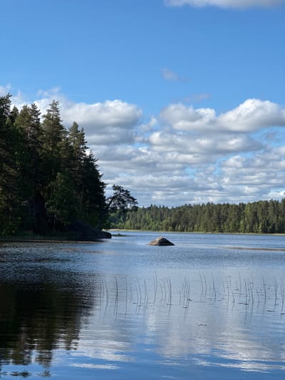A tranquil lake scene unfolds under a partly cloudy blue sky. On the left, a dense forest of pine trees borders the rocky shore, with dark shadows cast by the trees onto the water. The lake itself is calm, reflecting the sky and the surrounding trees. In the middle of the lake, a solitary rock emerges from the water, topped by a white bird, likely a seagull. Further in the distance, another band of forest lines the opposite shore. Several reeds or tall grasses poke out of the water in the foreground. The overall impression is one of natural serenity. The location is described as Berezovo, Russia, though no specific landmarks or urban elements are visible in the image to confirm this detail.