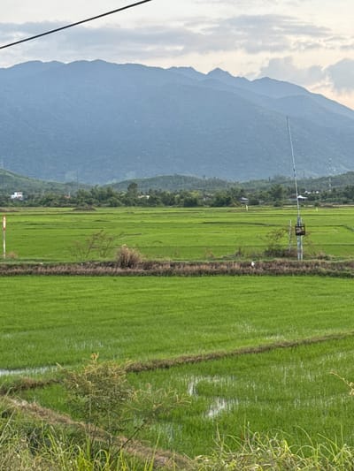 The image depicts a serene rural landscape in Tan Dinh, Vietnam. The foreground is dominated by vibrant green rice paddies, some of which are flooded, reflecting the overcast sky. A narrow, dark brown earthen dike separates two sections of the rice fields. To the left, a white pole with a red and white circular sign is partially visible. In the middle ground, a utility pole with a dark, rectangular box attached stands prominently. Further back, a line of trees and vegetation separates the fields from a residential area with scattered buildings, some with white walls and red roofs. In the background, a range of lush, green mountains stretches across the horizon under a cloudy sky. A thick black cable stretches diagonally across the top of the frame. No people are visible in the image.