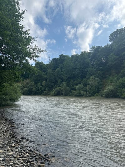 The image shows a wide, fast-flowing river with a rocky shore on the left. Dense green trees and vegetation cover the slopes rising from the opposite bank. The sky above is blue with scattered white clouds. The scene appears to be a natural landscape, possibly in a rural area. The river is the primary subject, with the surrounding natural environment providing context. There are no people or man-made structures visible in the image. The overall impression is one of a wild, natural setting.