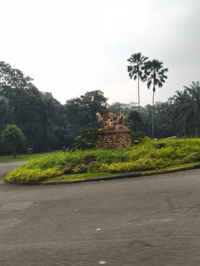The image displays an outdoor scene, likely a park or a large garden area in Babakan Madang, Indonesia. A prominent feature is a stone-colored statue, depicting several bird-like figures, including one with large, spread wings, perched on a rustic, rock-textured pedestal. This statue is centrally located on a meticulously landscaped, grassy island, which is bordered by a paved road.
The setting is characterized by lush tropical vegetation. Dense, dark green trees form a deep background, suggesting a heavily wooded area. In the midground and on the island, vibrant green bushes and plants add texture and color. Two distinct, tall palm trees with fan-like fronds stand against the sky on the right, alongside other palm varieties and foliage.
A dark grey asphalt road curves through the lower half of the frame, with a black and yellow curb defining the edge of the central island. The road surface shows motion blur, indicating the photograph was captured from a moving vehicle. The sky is bright and uniformly white, typical of an overcast day, which casts soft, diffused light over the landscape. There are no people or specific activities depicted, and no visible text. The scene conveys a sense of serene natural beauty with an artistic touch.