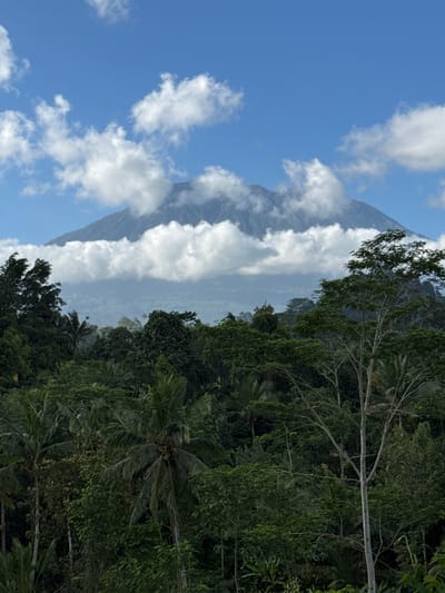 The image depicts a majestic view of Mount Agung in Sidemen, Indonesia, under a bright blue sky dotted with fluffy white clouds. The foreground is dominated by a dense, lush green jungle, characterized by a variety of trees, including palm trees. The jungle canopy is thick, with varying shades of green indicating different types of foliage. A tall, slender tree with bare branches stands prominently in the mid-ground, its stark structure contrasting with the verdant surroundings. In the distance, Mount Agung rises, its peak partially shrouded by clouds, giving it an ethereal and imposing presence. The lower slopes of the mountain are also visible, showing a gradient of green, suggesting vegetation. The overall scene captures the natural beauty and tropical landscape of Sidemen.