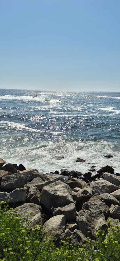 This is a vertical, eye-level shot of the ocean meeting a rocky shoreline in Vila do Conde, Portugal. The upper half of the image is dominated by a clear, light blue sky that fades to a slightly hazier hue near the horizon. The sun is high, casting a brilliant sparkle across the deep blue ocean, which is in constant motion with waves and white foam crashing against the shore. In the foreground, a dense cluster of green foliage with small, light green flower clusters lines the bottom of the frame, leading up to a rugged pile of large, grey rocks. These rocks, varying in size and shape, form a natural barrier between the vegetation and the churning sea. The overall impression is one of a bright, breezy day at the coast, with nature's raw beauty on full display.