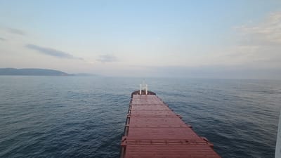 The image shows a wide, tranquil ocean under a hazy, pale blue sky, likely at dawn or dusk given the soft light. A large cargo ship is the primary object, with its long, reddish-brown deck stretching forward and dominating the lower half of the frame. The ship appears to be moving, as indicated by the perspective and the gentle ripples on the water. In the distance, a faint, hazy coastline with rolling hills is visible, suggesting a landfall in the background.

The overall mood is one of calm and quietude, with the vastness of the ocean and the gentle movement of the ship creating a sense of serene solitude. The weather appears clear but overcast, with diffused light and a few wispy clouds. There are no people visible in the image, and no discernible text. The setting is the open sea, with a hint of land on the horizon. The perspective is from a higher vantage point on the ship, looking forward along its deck.