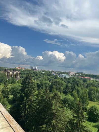 The image shows a panoramic view of the city of Rubtsovo, Russia, on a bright, cloudy day. The foreground is dominated by a wooden railing and the tops of lush green evergreen trees, suggesting the vantage point is from a height, possibly a balcony or building.
In the middle ground, the dense green canopy of a forest stretches across the landscape, interspersed with a few buildings. The buildings are varied in architectural style and color, ranging from tall, modern apartment complexes with white and blue facades to older, brick structures with red and brown hues. Some of these buildings appear to be residential or commercial.
The background reveals a wider expanse of the city, with more buildings and structures extending into the distance. The sky is a vibrant blue, populated by large, fluffy white cumulus clouds and thinner, wispy cirrus clouds. The overall impression is one of a city nestled within a natural environment, with a clear, expansive sky overhead. There are no people or visible animals in the scene. The image is a still, landscape shot, capturing a moment of natural beauty and urban development.