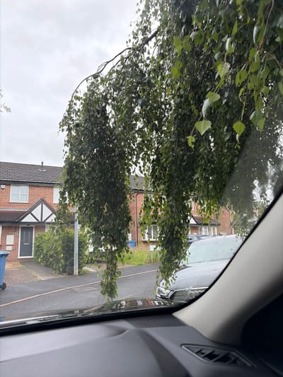 The image captures a view from inside a vehicle, looking outwards through the windshield. Overhanging branches of a weeping birch tree, laden with green leaves, dominate the foreground, partially obscuring the scene beyond. In the mid-ground, a residential street is visible, with a row of brick houses. One house, with a dark grey front door and white-framed windows, features a distinctive black and white gabled facade. Adjacent to the house, a blue wheelie bin and a green hedge are present. The street itself is paved, with a grey car parked further down. The sky is overcast and grey, typical of the weather in Salford, United Kingdom. The interior of the car shows a portion of the dashboard.
