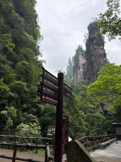 A signpost is visible in the foreground, with various directions and distances in Chinese and English. In the background, a dramatic rock formation rises above the lush green foliage. The setting appears to be mountainous and forested. There is a small sign showing the direction of the nearest toilet, just by a wooden fence.
