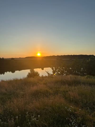 The image depicts a rural landscape at sunset, with the sun low on the horizon, casting a warm orange glow across the sky and reflecting on a body of water. The foreground is dominated by tall, dry grasses and some small white wildflowers, typical of a field. Beyond the field, a calm lake or pond is visible, with trees and foliage lining its banks. In the distance, a dark treeline forms the horizon, with more fields visible beyond that. The sky transitions from a pale blue at the top to a warm orange and yellow near the sun. There are no people or animals clearly visible in the image, and no discernible structures or man-made objects other than what might be implied by distant fields. The scene appears serene and natural, indicative of a countryside setting. The location is identified as Horodyshche, Ukraine.