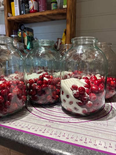 Three glass jars are stacked vertically, each containing fresh cherries and sugar. The jars are placed on a purple silicone mat with measurement markings. The contents of the jars are partially visible through the clear glass, showing a layered effect of red cherries interspersed with white sugar. The lighting suggests an indoor setting, possibly a kitchen, with natural light illuminating the scene. The overall atmosphere is one of preparation for food preservation or a sweet treat. Visible text on the mat includes measurement units and numbers in centimeters.