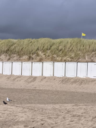 The image depicts a section of the beach in Bergen, Netherlands. In the foreground, two birds are visible on the sand. One is a dark-colored bird, possibly a crow, and the other is a white and grey gull. The middle ground shows a row of white beach huts with numbered doors, set against a sandy dune covered in dry, wispy grass. A yellow flag is flying from a pole atop the dune. The background is dominated by a dark, overcast sky. The scene is devoid of human presence.