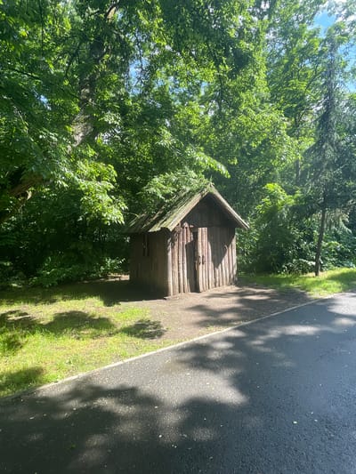 The image captures a small, rustic wooden shed positioned amidst lush greenery in Aytos, Bulgaria. The shed is constructed from vertical wooden planks or logs, presenting a weathered, dark brown appearance. It features a steeply pitched, gabled roof, which exhibits patches of green growth, possibly moss or algae. A double-door entrance is visible on the front facade of the shed, and a small, dark rectangular window is present on the side facing the viewer.

The shed rests on an unpaved area of dark earth, bordered to its left by a strip of green grass. Dense foliage from numerous deciduous trees, characterized by bright green leaves, forms a thick backdrop behind and to the left of the shed. Sunlight filters through the canopy, creating bright highlights on the leaves. To the right of the shed and extending into the foreground, a dark, asphalt-paved road or path is present, separated from the dirt and grass by a light-colored concrete curb. A tall, slender coniferous tree stands to the far right, behind the paved surface. The scene is brightly lit by direct sunlight, evidenced by prominent, sharp shadows cast across the grass and the paved ground. No individuals or specific actions are depicted.