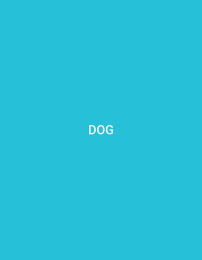The image is a solid teal background with the word "DOG" written in white text in the center. There is no discernible location in Küçükçekmece, Turkey.