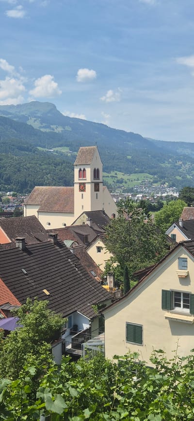 This image depicts a scenic view of Sargans, Switzerland, bathed in the bright sunlight of what appears to be a clear, daytime weather. The foreground is dominated by the rooftops of charming European-style buildings with dark tiled roofs and cream-colored facades. Lush green trees, some with vines, add a vibrant touch to the urban landscape, partially obscuring some of the structures.
Further into the frame, a prominent church tower with a light-colored facade stands tall. It features red-framed windows and clock faces on at least two sides. The tower is capped with a steep, tiled roof. Behind the town, a majestic, verdant mountain looms, its slopes dotted with patches of green fields and more scattered buildings. The sky above is a bright blue, with a few wispy white clouds adding texture.
The scene evokes a sense of tranquility and picturesque beauty, characteristic of a European village nestled amongst rolling hills and mountains. There is no discernible activity or event taking place, suggesting a still, observational shot. The overall impression is one of a peaceful, well-preserved town in a stunning natural setting. No text is visible in the image.