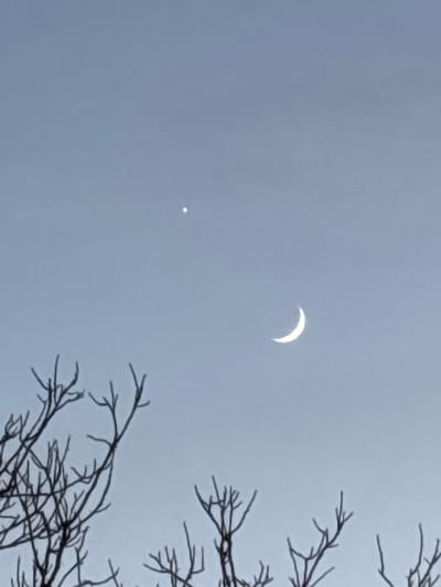 The image captures a scene in Pchelnik, Bulgaria, featuring a partial solar eclipse. The sky is overcast, suggesting a daytime setting with possibly cloudy weather. In the upper right quadrant of the sky, a crescent-shaped sliver of the sun is visible, indicating that the moon is obscuring a portion of it. To the left of the eclipse, a small, bright point of light is visible, likely a planet or a bright star, though its identity is not definitively clear. The foreground is dominated by the silhouette of bare tree branches, with intricate patterns of twigs and limbs extending into the frame from the right and bottom edges. The branches are dark and leafless, suggesting it might be late autumn or winter. The overall mood is somewhat muted due to the overcast sky and the monochromatic tones of the tree branches, creating a visually striking contrast with the bright celestial bodies. There is no visible text in the image.