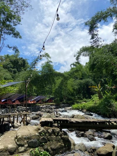A sideways view reveals a vibrant outdoor scene. A stream cascades over rocks beside a stone wall. Lush greenery, including bamboo, fills the frame, reaching towards a blue sky dotted with white clouds. A string of lights hangs across the top left, while colorful banners are strung along a wooden structure. The image captures a lively, natural environment.
