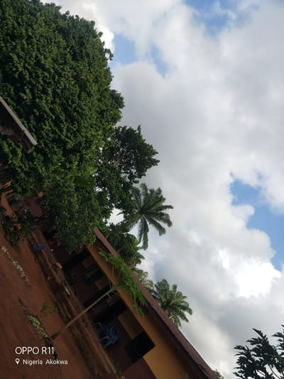 The image shows a low-angle view of a building with a brown roof, partially obscured by lush green trees. A thin, tall plant with large leaves grows in front of the building. The sky above is filled with a mix of white and grey clouds with patches of blue sky visible. On the left side of the image, the text "OPPO R11" is overlaid, followed by a location pin and the text "Nigeria Akokwa". The building appears to be made of earth-toned materials. There are chairs visible inside the building. The overall scene suggests an outdoor environment in a tropical or subtropical region.