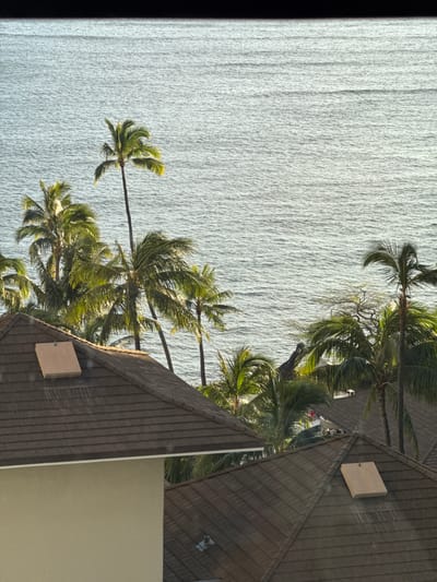 The photograph depicts a coastal scene, likely taken from an elevated position in Honolulu, United States of America. The foreground is dominated by the tiled roof of a building, with sections of adjacent walls visible. Numerous palm trees punctuate the middle ground, their fronds swaying gently. In the background, a body of water, presumably the ocean, stretches out, its surface exhibiting subtle ripples. The sky is not visible, implying the photograph was taken from indoors.