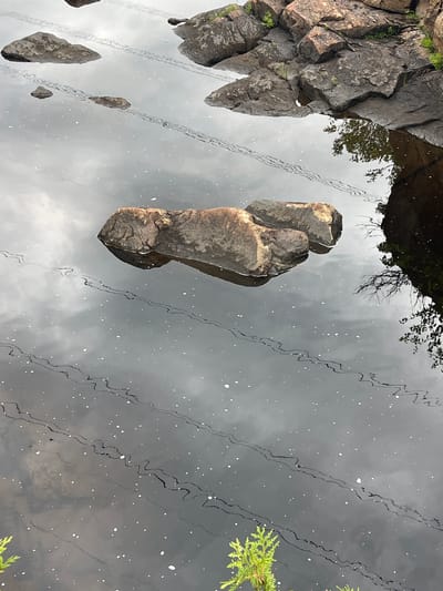 The image shows a reflection of rocks and trees on the surface of a body of water. The rocks appear to be part of a cliff face on the left side of the image, with some vegetation growing on them. In the center of the image, a large rock is submerged in the water, with its reflection clearly visible. Several other smaller rocks are also visible in the water, with their reflections. The water is dark and reflective, with ripples and small white specks that may be debris or light reflections. There are dark, wavy lines on the water's surface, possibly caused by currents or floating materials. In the upper part of the image, the reflection of tree branches and leaves is visible. The overall scene suggests an outdoor natural setting. The lighting and reflections indicate it is likely daytime, with possibly overcast skies given the muted light. No people or text are visible. The location is identified as the Village of Lyons Falls, USA.