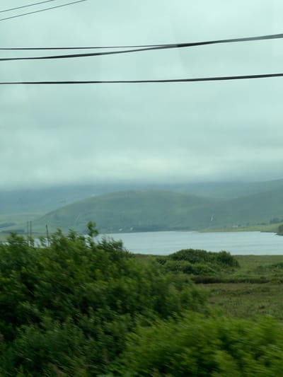 The image shows a landscape scene with a body of water in the middle ground, bordered by rolling green hills under a cloudy sky. In the foreground, there is dense, blurred green foliage, suggesting movement or a close-up perspective through vegetation. Overhead, several dark, thin wires are visible, stretching across the frame. The distant hills appear soft and hazy due to atmospheric conditions. The overall impression is one of a natural, possibly remote, environment, with the wires indicating human presence or infrastructure within the landscape. The scene is likely a view from a moving vehicle, given the blurriness of the foreground foliage. The location is identified as Meenacuing, Ireland.