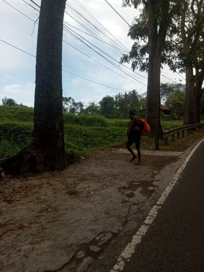 The image depicts a rural or semi-rural roadside scene in the city of Sat Thay (East), Myanmar, under an overcast sky. A lone adult male is walking left-to-right along a dirt and gravel shoulder adjacent to an asphalt road. He wears a dark short-sleeved top, dark shorts, and a dark cap. A dark fabric is draped over his left shoulder, and he carries an orange plastic bag over his right shoulder. In his right hand, he holds a long, red object, possibly a tool or umbrella, extending towards the ground. His feet appear to be bare or in sandals. The asphalt road features a solid white edge line. Multiple tall, dark-barked trees line the shoulder, with a prominent tree in the foreground on the left. Behind the individual and trees, a metal guardrail runs parallel to the road. To the left of the shoulder, dense green vegetation covers an elevated bank. Numerous utility lines are strung overhead against the light blue-grey sky. In the distant background, a faint mountain or hill and a structure are visible amidst more trees.