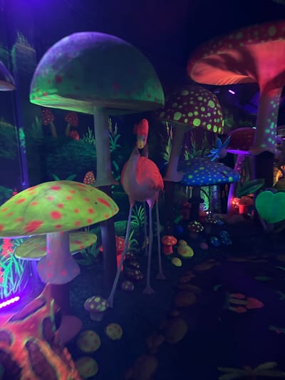 The image depicts an indoor scene, possibly an art installation or exhibit, with a variety of oversized, brightly colored mushrooms and vegetation. The lighting is predominantly dark, with black lights illuminating the objects, causing them to fluoresce in shades of pink, green, red, and blue. The mushrooms vary in size, shape, and color, some featuring polka dot patterns. Other illuminated foliage is also present. The location is Binh Lu, Vietnam. There are no visible people in the image. The scene appears to be a fantasy or whimsical setting, with an emphasis on creating an immersive experience through the use of artificial lighting and props.