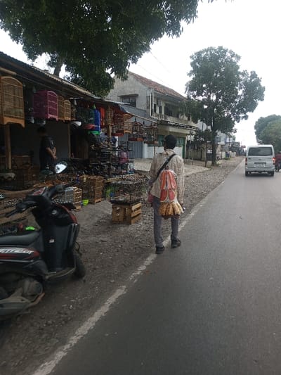 This image depicts a street scene in Chhenangri_Rishor, Bhutan, under an overcast sky.
On the left, a shop with a corrugated metal roof is visible, extensively displaying various bird cages. These cages, made of wood, wire, and colored plastic, are hanging from the shopfront and stacked on the ground. A male individual, wearing a dark t-shirt, stands partially obscured within the shop's entrance. In the immediate foreground, a black scooter with red accents is parked on the dirt and gravel shoulder.
In the center of the frame, a male individual walks away from the camera on an asphalt road. He wears a light-colored, possibly patterned, long-sleeved shirt, dark trousers, and a dark cap. He carries a shoulder bag across his chest and multiple roundish or oval-shaped items, appearing to be food products (some red, some yellowish/brown), secured in a mesh-like bag slung over his back. The asphalt road features a worn white line along its edge.
Further down the road on the right, a white van with the license plate "K 9313 BA" drives away from the camera, followed by a smaller, partially visible vehicle. Several multi-story buildings with light-colored facades and reddish-brown tiled roofs are visible behind the shop and further down the street. Numerous large, leafy trees are distributed throughout the scene, including one overhanging the shop and another prominent tree to the right of the road.