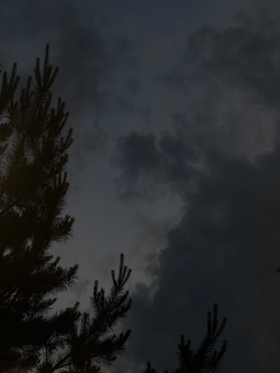 The image captures a silhouetted view of pine tree branches against a dark, cloudy sky, suggesting an overcast or evening setting. The trees are dark and sharp against the lighter sky, with the texture of their needles visible. The clouds are dense and textured, with varying shades of gray and dark blue, indicating a potentially stormy or twilight atmosphere. The location is identified as Leninsk-Kuznetskiy, Russia. No people or specific actions are depicted.