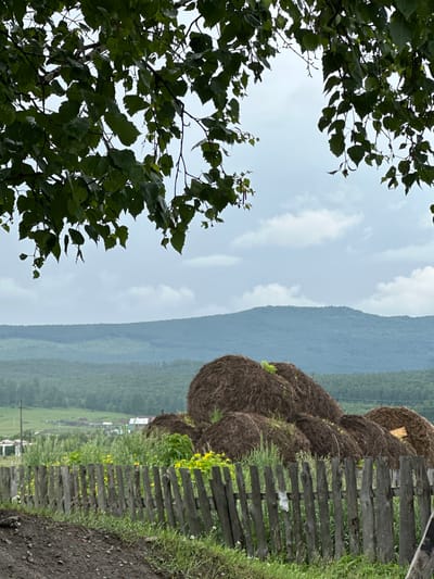 The image captures a rural landscape, likely in Abzakovo, Russia, under an overcast sky. In the foreground, a weathered, grey wooden fence runs diagonally across the frame. Beyond the fence, a pile of large, round haystacks dominates the mid-ground. Yellow wildflowers and tall green grass grow around the base of the haystacks. In the background, rolling green hills covered in trees recede into the distance, culminating in a hazy mountain range under a pale sky with scattered clouds. The scene appears tranquil and untouched by human activity, evoking a sense of rustic simplicity.