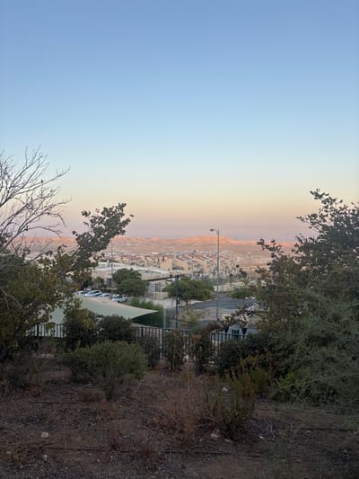 The image presents an elevated, panoramic view of a residential area within Maale Adumim, Palestinian Territory, under a twilight sky transitioning from light blue at the zenith to a pale orange-pink near the horizon. In the foreground, a barren slope covered with dry, reddish-brown earth and sparse, arid vegetation, including thorny bushes and a few larger leafy trees with some bare branches, is visible. Thin black irrigation pipes are laid across the ground. A dark metal fence runs horizontally across the mid-ground, separating the foreground from the settlement.
Beyond the fence, the urban landscape of Maale Adumim unfolds, consisting of numerous light-colored, multi-story residential buildings with uniformly reddish-brown tiled roofs, characteristic of an Israeli settlement. Streets, utility poles, and streetlights are visible throughout the settlement. A parking area with several white vehicles is located under a large, light green shade structure. Adjacent to this, a paved recreational court is partially visible, where two or three indistinct human figures are seated on a low wall or bench. In the distant background, rolling desert hills with a reddish-orange hue stretch towards a hazy horizon. No distinct actions or interactions are discernible beyond the presence of the seated figures.