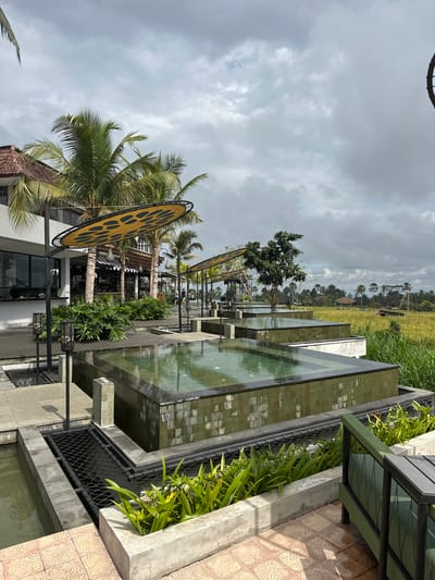 The image depicts an outdoor scene in Payangan, Indonesia, under a cloudy sky. In the foreground, there is a rectangular, elevated water feature with a textured, tile-like exterior. Along the right side of the water feature, there's a decorative barrier made of dark metal and filled with green plants. Further to the left, a large, round, ornate sign with a yellow and dark-patterned design is visible. Palm trees and other tropical greenery surround the sign, suggesting a tropical setting. In the background, there is a view of rice paddies and distant structures. The overall impression is of a modern, luxurious outdoor space integrated with the natural landscape.