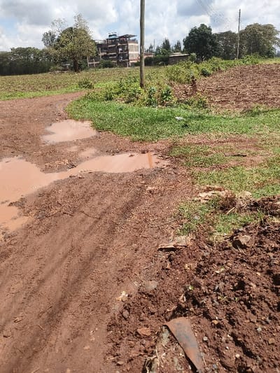 The scene depicts a semi-rural landscape in Juja ward, Kenya, under an overcast sky. An unpaved, reddish-brown dirt path occupies the foreground and mid-ground, curving slightly leftward as it recedes. Multiple irregular muddy puddles with standing brown water are present along the path, varying in size up to approximately 3 meters in length. Distinct tire tracks are visible within both the muddy and drier sections of the path. Scattered dry plant debris lies on the ground.

To the right of the path, green grass and weeds grow alongside a mound of darker earth where a piece of rusted, curved metal is partially embedded in the lower right corner. To the left of the path, a large area of tilled, reddish-brown earth, consistent with a cultivated field, extends towards the horizon.

A wooden utility pole stands prominently in the mid-ground, slightly right of the path, with overhead wires visible extending towards the right. In the distant background, beyond a line of trees and shrubs, several multi-story buildings, likely residential, are visible. One prominent building features a light-colored facade with dark windows and multiple levels. No individuals are present in the image.