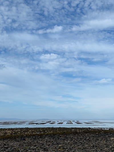 This is a photograph taken at Dunuisce, Ireland. The image captures a coastal scene with a rocky shoreline on the right, meeting a calm body of water. In the water, there are numerous lines of what appear to be oyster racks or aquaculture structures, indicating an active or past farming operation. The water stretches to the horizon, where it meets a pale sky filled with wispy, white clouds. The lighting suggests it is daytime, possibly late morning or early afternoon, with diffused sunlight given the soft shadows. The overall mood is serene and natural. There is no visible text in the image.