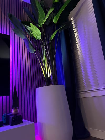The image shows a room interior with a modern aesthetic. A large potted plant with broad green leaves is a prominent feature, extending from a white rectangular planter. The wall behind the plant is decorated with horizontal slats illuminated with purple lighting. A black television screen is visible at the bottom of the image. A white structure stands to the right, with a black and gold ornament on top. The ceiling has a layered, textured appearance, also bathed in a purplish light. The location is identified as Orlando, United States, but there is no further information to pinpoint a specific area within the city or any indication of specific activities.