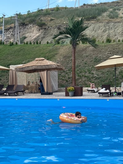 The image captures a sunny day at a resort in Ptghni, Armenia, with a vibrant blue swimming pool as the central focus. A person is seen floating on a colorful ring in the pool, enjoying the water. In the background, a lush green lawn slopes up to a rocky hillside dotted with sparse vegetation. A palm tree stands tall near the pool, adding a tropical touch to the scene. Adjacent to the pool, there is a thatched-roof cabana, suggesting a relaxing atmosphere. Several lounge chairs are placed on the paved area surrounding the pool, indicating a place for sunbathing and leisure. The overall ambiance is one of relaxation and enjoyment of a warm day outdoors. The time of day appears to be afternoon, given the bright sunlight and clear skies.