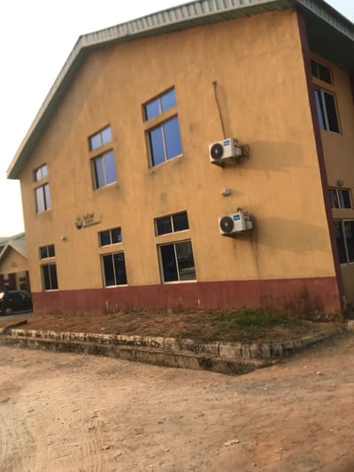 The image displays a multi-story building alongside an unpaved road, under what appears to be a sunny sky in Umudike, Nigeria. The building is predominantly light yellow or beige, featuring a dark red or brown trim along its lower facade and possibly under the roofline. A segment of a dark-colored, sloped roof with an overhang is visible on the left side.
Multiple rectangular windows with dark frames and reflective glass are visible across the building's walls. Two white outdoor air conditioner units are mounted on the upper part of the building, casting distinct shadows that suggest strong sunlight, indicating it is daytime, likely mid-morning or afternoon. Below a set of windows, a small circular logo or text, which appears to include the word "Bedford," is visible on the wall.
Adjacent to the building on the right is a rough, unpaved dirt road or path, light brown in color, with textures suggesting foot or vehicle traffic. A low, irregular stone or concrete curb separates the building's foundation from this pathway. Along the curb and the immediate ground next to the building, there is sparse, dry grass interspersed with some patches of green vegetation. The scene is static, with no people or specific activities taking place.