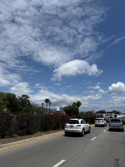The image displays a street scene on a bright, sunny day, characterized by a vibrant blue sky dotted with scattered white cumulus and cirrus clouds. The perspective looks along a multi-lane asphalt road, where a line of vehicles is present, possibly in traffic.
In the foreground, the rear of a white Infiniti SUV is visible, bearing the license plate "7FJU509". Further down the road, another white SUV and a silver pickup truck with license plate "7D41668" are part of the traffic.
The roadside features lush greenery, including several tall palm trees and bushes. Some trees display purple blossoms, suggesting a warm climate. In the background, various commercial buildings are visible, one prominently featuring a green-sloped roof. A "Petco" sign can be seen on one of the structures. A large billboard with colorful imagery and indistinct text is also visible by the roadside. Faint outlines of distant mountains are discernible on the horizon.
The scene captures a typical daytime setting in an urban or suburban environment, consistent with the Beverly Hills location context.