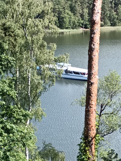 A white passenger boat with people visible inside is on a body of water. The boat is a two-story vessel with a blue stripe along its waterline. In the foreground, a large tree trunk with ivy growing on it stands vertically, obscuring parts of the background. To the left of the trunk, a birch tree with light bark and green leaves is prominent. In the background, a dense forest lines the opposite shore of the water. The scene appears to be a natural landscape, likely a lake or a large river, given the presence of a boat and the surrounding trees. The location is identified as the city of Doksy, Czechia.