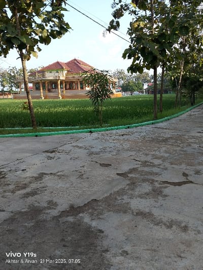 The image shows a concrete pathway in Kecamatan Anjatan, Indonesia, at coordinates -6.417 latitude and 107.978 longitude. The pathway leads to a large, two-story building with a red tile roof and white columns. The building is surrounded by a field of green grass. On the left side of the image, a tree trunk and a portion of its branches are visible. The tree trunk is positioned close to the edge of the pathway and extends up into the sky. To the right side of the image, a portion of the pathway is visible. There are trees in the background on both sides of the pathway. The sky is blue and clear, with no visible clouds. The image was taken at 07:05 on March 21, 2023.