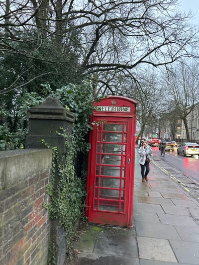 A red telephone booth sits on a sidewalk, partly obscured by greenery growing over a brick base. A person in a white jacket and dark pants stands on the sidewalk next to the booth, arms raised in a joyful pose. A street scene behind them includes cars, a bicycle, and pedestrians. The sky is overcast. Bare trees and buildings line the street in the background.