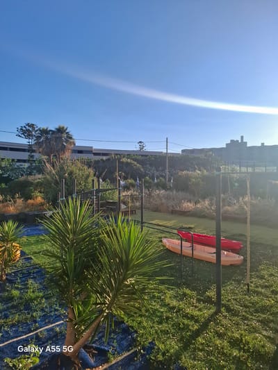 This image, rotated 90 degrees clockwise, presents a bright, sunny outdoor scene, likely a garden or resort ground in the Gouves Municipal Unit, Greece. The perspective looks slightly upwards towards a clear blue sky, which dominates the upper left portion of the frame and features a strong diagonal sun flare emanating from the top right.

In the foreground, lush green grass covers the ground, dotted with small white or light-colored flowers. Two kayaks, one red and one orange/yellow, are prominently displayed, resting on what appears to be a metal rack or stand. Nearby, several dark posts, possibly part of a fence or a support structure, are visible. A large palm tree with vibrant green fronds occupies the lower right, partially obscuring a blue tarp or ground covering beneath it. Another, smaller palm tree is visible further back.

The midground features dense, varied foliage, including bushes and trees, separating the foreground from the background structures. In the background, several multi-story buildings with flat roofs can be seen, hinting at a hotel or residential complex. Distant hills or mountains are faintly visible on the horizon behind the buildings.

The scene is bathed in bright sunlight, indicating midday or early afternoon on a clear day. No people are present, suggesting a quiet moment. The presence of kayaks strongly implies a location near water, such as a beach or a large body of water. The text "Galaxy A55 5G" is visible in white letters on the blue tarp in the lower right, indicating the device used to capture the image.