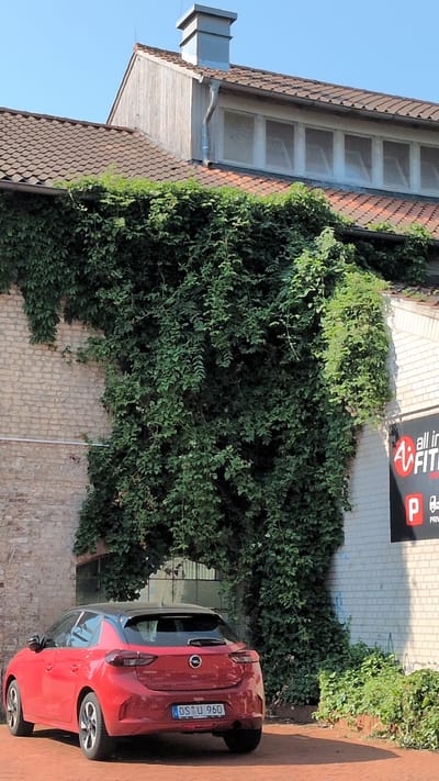 The image depicts a red Opel Corsa parked on a brick-paved area, likely a street or parking lot, in Osnabrück, Germany. The car is viewed from the rear quarter, with its license plate, OS U 960, clearly visible. The car is situated next to a building covered in dense green ivy. The building has a light-colored brick facade and a tiled roof. Above the ivy, a sign is partially visible with text that includes "all in FIT" and a red circle with a white "P" logo, suggesting a gym or fitness center. The scene appears to be set during the daytime, with clear blue skies visible in the upper left corner. The lighting suggests it is a sunny day. The overall mood is one of an ordinary urban or suburban setting.