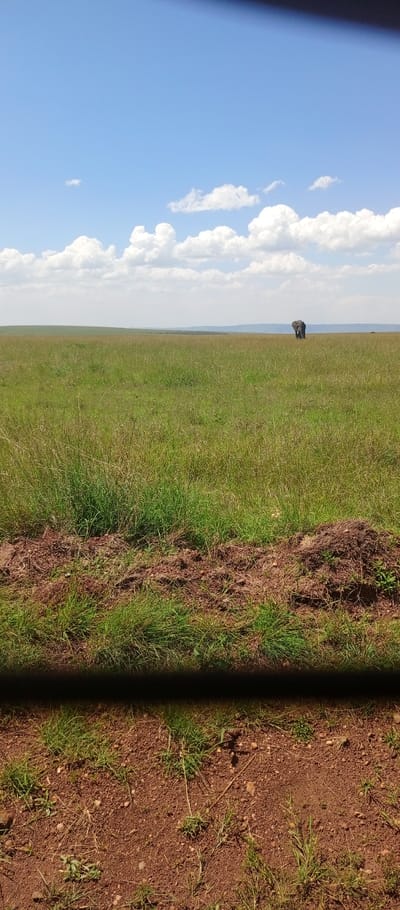 A vast grassy plain stretches under a blue sky dotted with puffy white clouds. A single elephant stands in the distance, its silhouette a dark contrast against the horizon. The foreground shows a closer view of the grassland, transitioning to patches of exposed reddish-brown soil with sparse vegetation. A dark, blurry horizontal line cuts across the bottom of the frame, partially obscuring the view.