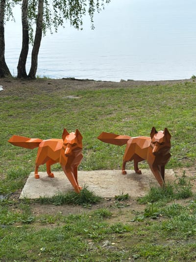 The image shows two polygonal fox sculptures situated on a concrete slab outdoors. The sculpture on the left is bright orange, while the one on the right is a darker, reddish-brown. Both sculptures are standing, facing slightly to the right of the viewer. They are positioned on a patch of grass near a body of water, with birch trees visible in the background. The water appears calm and light blue, reflecting the sky. The ground around the concrete slab is covered in grass and some dirt. The overall setting suggests a park or recreational area. This scene is located in Zarechny, Russia, specifically at the embankment of the Pond of the Belo-yary.