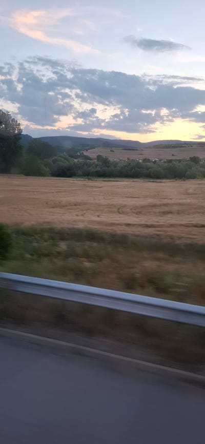 An outdoor, eye-level shot captures a rural landscape at dusk, possibly in Blajievo, Bulgaria. The foreground features a grey metal guardrail that runs horizontally across the bottom third of the image, casting a subtle shadow on the dark asphalt road below. Beyond the guardrail, a field of dry, golden grass, likely wheat or barley, stretches into the middle ground. Subtle tire tracks are visible in the field, suggesting recent agricultural activity or vehicular passage. A line of dense, dark green trees forms a visual barrier between the field and the distant rolling hills. Nestled amongst the trees and on the hillsides are scattered houses with red roofs, indicating a small village. The sky above is a soft blend of pale blue and pink hues, with scattered clouds that are tinged with the warm light of the setting sun. The overall impression is one of serene, rural tranquility at the close of day.
