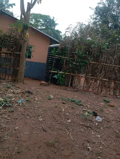 The image captures an outdoor scene, likely a residential area or a yard, characterized by reddish-brown soil and lush, somewhat unkempt vegetation, under a bright, overcast sky. The foreground consists of bare, reddish-brown earth with sparse patches of small green weeds and grasses. This ground is littered with various debris, including plastic bottles (one blue, one white), torn plastic bags (black and white), and scattered paper or wrappers, along with small sticks and other unidentifiable refuse.

In the midground, a portion of a house is visible on the left side. The house features a light orange or terracotta-colored upper wall section with a white-framed window, and a darker grey or blue lower wall or foundation. A simple, sloped roofline, possibly metal or tiled, is partially visible. Adjacent to the house and slightly to its right stands a large, black, ribbed cylindrical plastic water storage tank, indicating a water collection or storage system. Green vines are seen growing on or around this tank.

Further to the right and extending across the midground is a rustic barrier or fence constructed from numerous vertical, thin wooden poles or dried bamboo stakes, which appear to be tied together. Behind this barrier, there's a dense mass of vegetation, largely consisting of dried, brown leafy plants (possibly dead palm fronds or similar), intermingled with some patches of greener foliage. A prominent tree trunk stands in the left midground, partially bare, with some yellow fruit or plant growth resembling a papaya attached to or near its trunk.

The background reveals a dense canopy of various green trees, including visible palm trees, suggesting a tropical or subtropical environment. The sky above is bright and uniformly white or light grey, indicating an overcast or hazy daytime condition, with no direct sunlight or distinct cloud formations visible. There are no people visible, and no specific activity is taking place. The overall impression is that of a quiet, somewhat neglected outdoor space in a rural or semi-urban setting. No text is visible in the image.