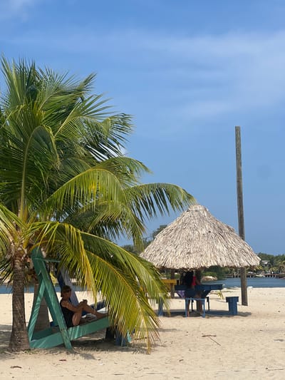 A beach scene in Placencia, Belize, features a palm tree in the foreground with green fronds. Behind the tree is a thatched roof palapa covering two benches of blue, yellow, and green colors where two individuals are sitting and possibly relaxing. The sky is clear and blue. The beach is tan sand, and in the distance, across a body of water, are buildings and vegetation.