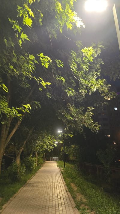 The image depicts a paved walkway illuminated by streetlights at night. The walkway is bordered by grass and trees with vibrant green leaves, some of which are backlit by the artificial light, creating a luminous effect. In the background, a multi-story building with illuminated windows is visible, suggesting an urban or suburban setting. A metal railing marks the edge of the walkway in the distance, leading towards a faint bridge-like structure. The scene appears to be located in the city of Razvilka, Russia. There are no people or animals present in the image.